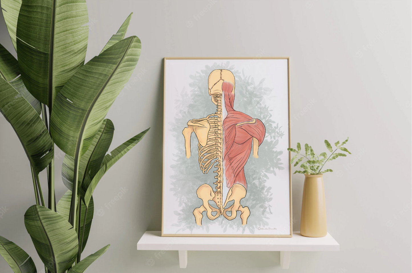 Spine & Musculoskeletal System Poster, Wall Art for Anatomy Lovers & Health Professionals, Clinic Office Decor