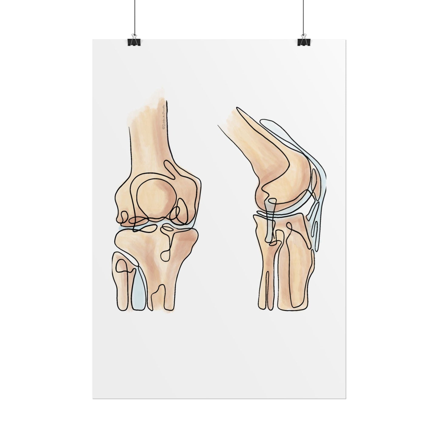 Knee Anatomy Line Art Poster for Health Profesionals - DC Maike Perello