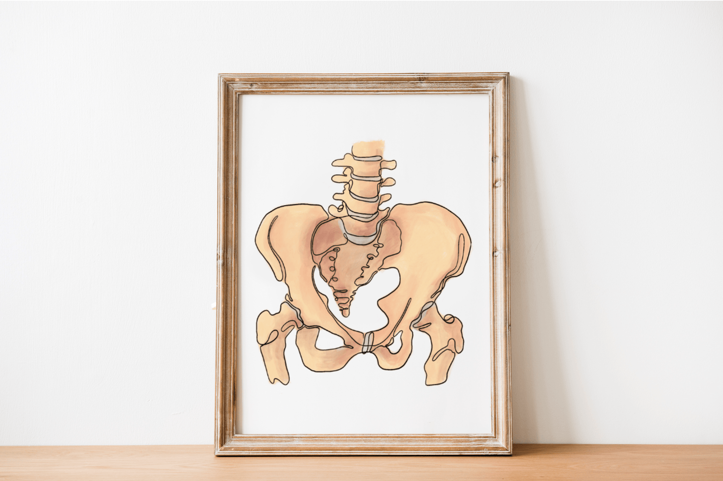 Pelvis Anatomy Line Art Poster for Clinic Office Decor - DC Maike Perello