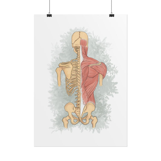 Spine Anatomy Poster with Floral Background, Health Professional Office Decor - DC Maike Perello