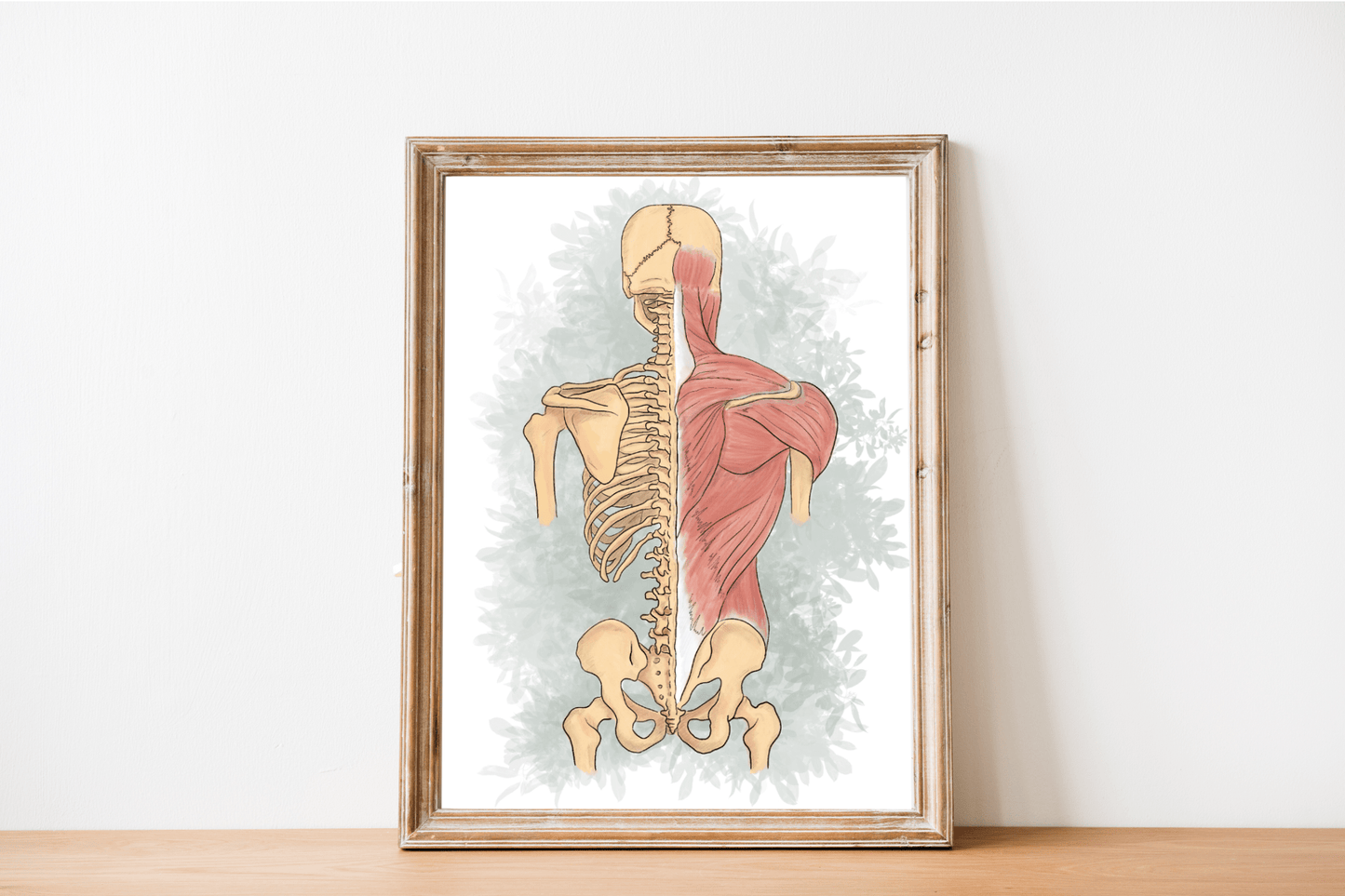 Spine Anatomy Poster with Floral Background, Health Professional Office Decor - DC Maike Perello