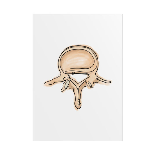 Vertebra Line Art Poster, Spine Anatomy Poster, Clinic Office Decor & Gifts