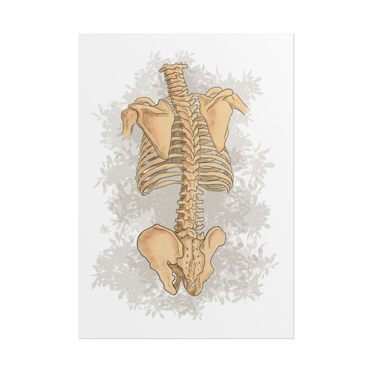 Anatomy Spine Wall Art Poster, Floral Skeleton Art, Clinic Office Decoration