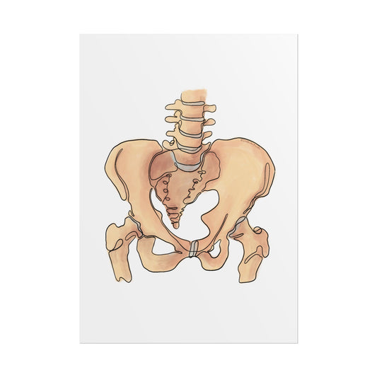 Pelvis Line Art Office Decor, Anatomy Art for Health Professionals, Clinic Wall Art