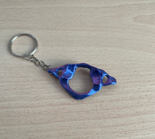 Chiropractic Atlas Keychain multicolor 