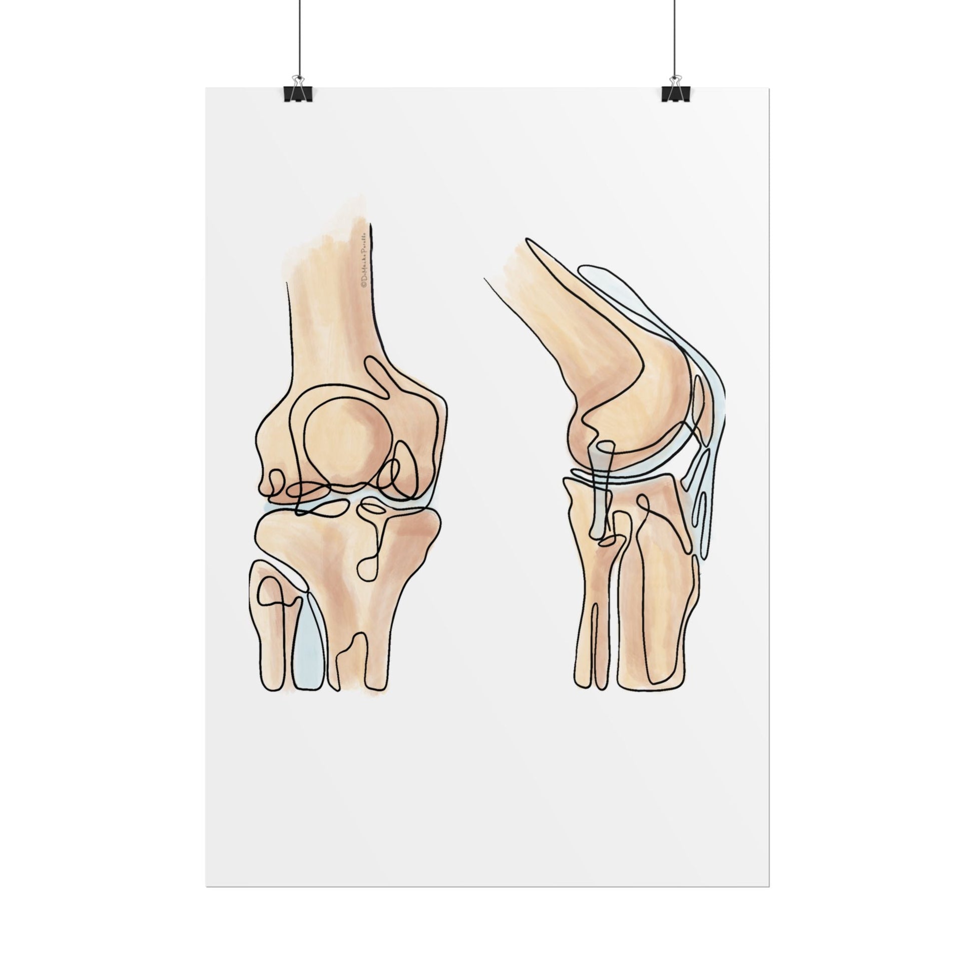 Knee Anatomy Line Art Poster for Health Profesionals - DC Maike Perello